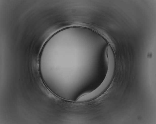 X0000089411292200707131753