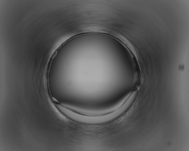 X0000089411293200707131753