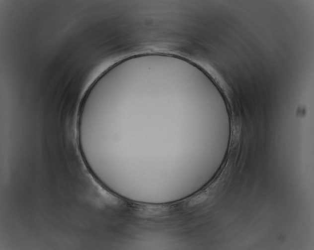 X0000089411294200707131753