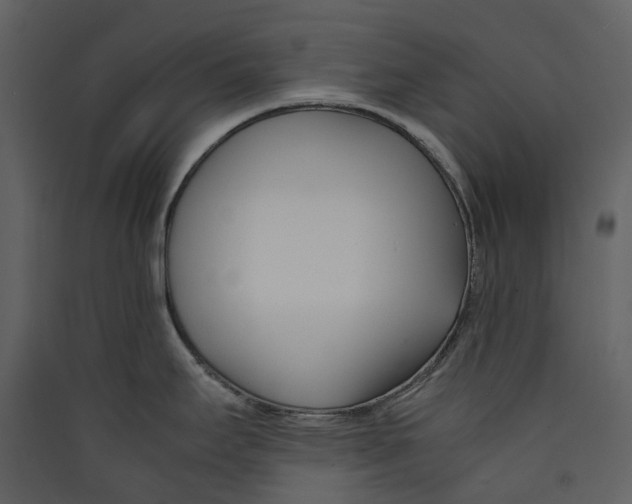 X0000089411295200707131753
