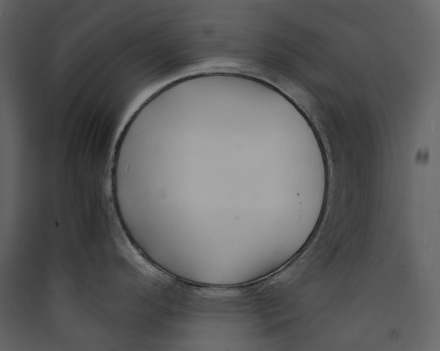 X0000089411296200707131753