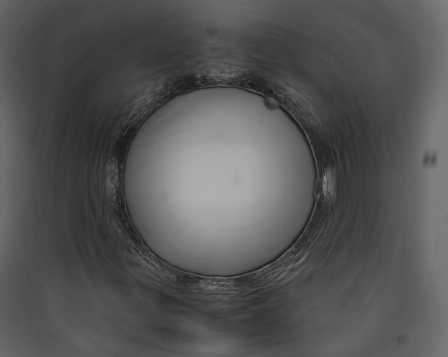 X0000089411299200707131752