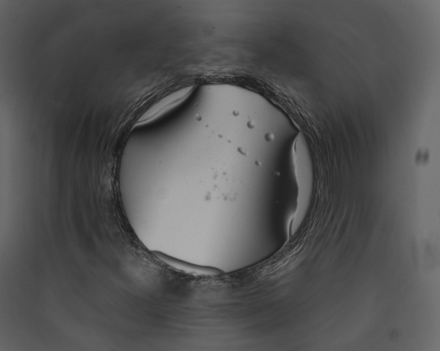X0000089411300200707131752