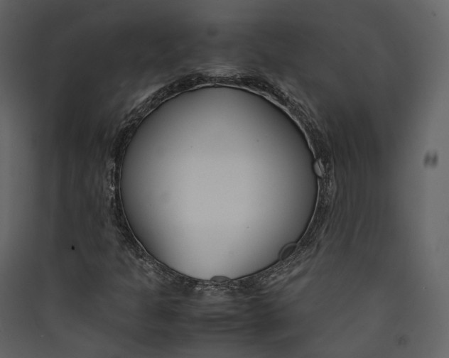 X0000089411301200707131752