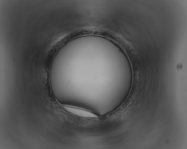 X0000089411302200707131752