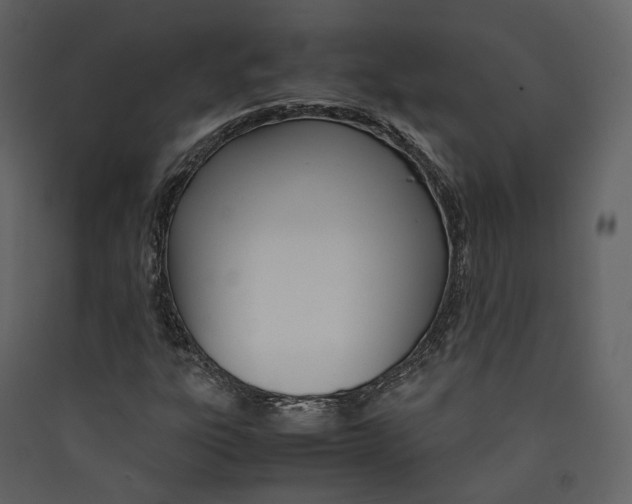 X0000089411303200707131752