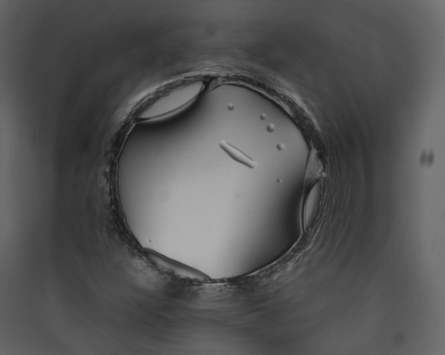 X0000089411304200707131752