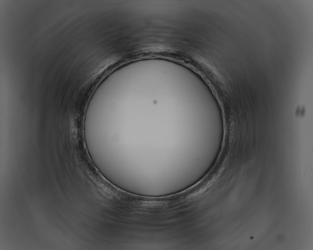 X0000089411305200707131752