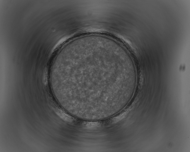 X0000089411306200707131752