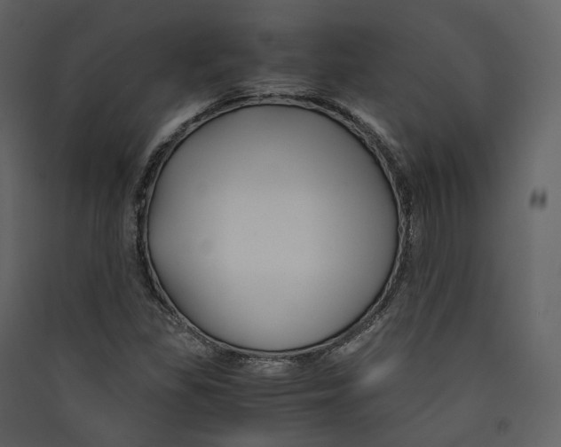 X0000089411309200707131752