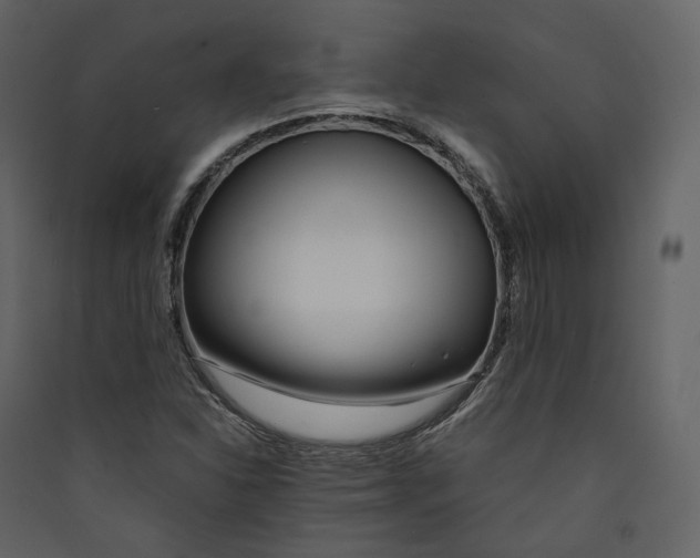 X0000089411310200707131752