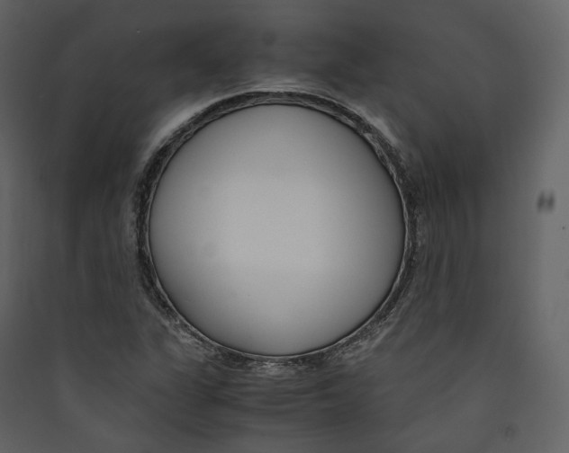 X0000089411311200707131752