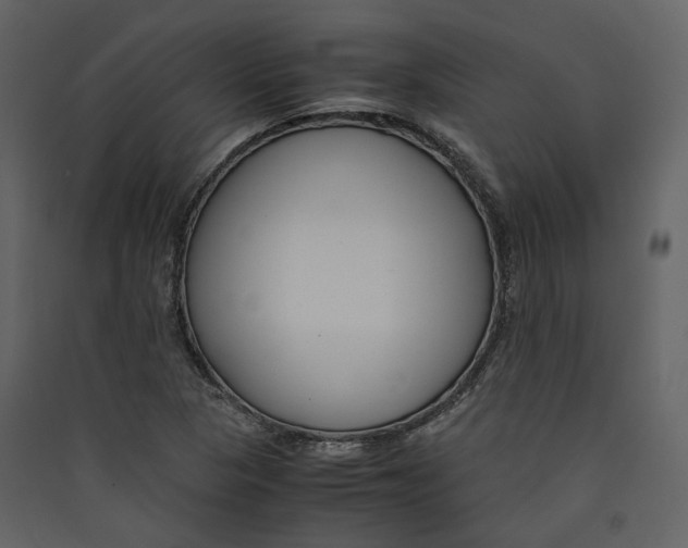 X0000089411313200707131752