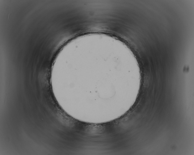 X0000089411314200707131752