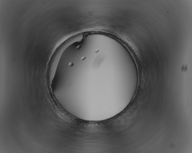 X0000089411316200707131752