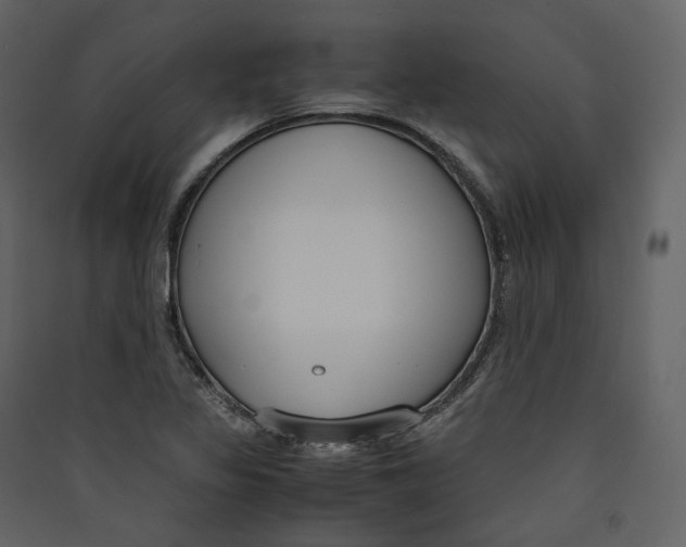 X0000089411317200707131752