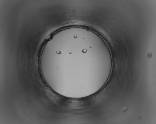 X0000089411318200707131752