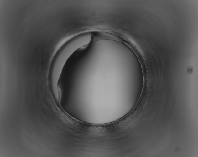 X0000089411320200707131752