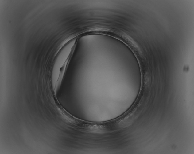 X0000089411321200707131752