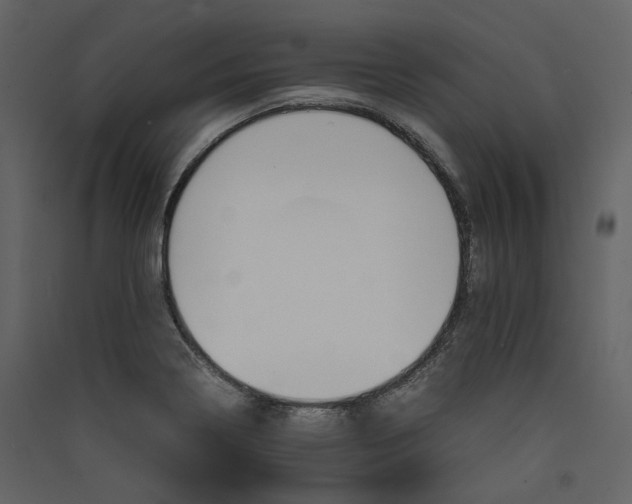 X0000089411322200707131752
