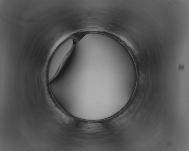 X0000089411325200707131752