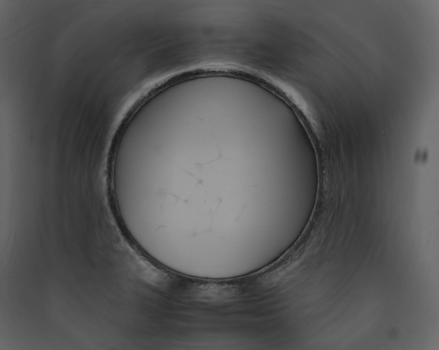 X0000089411327200707131752