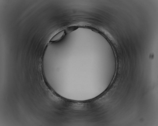 X0000089411329200707131752