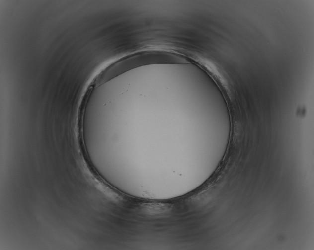 X0000089411331200707131752