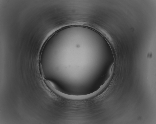 X0000089411332200707131752