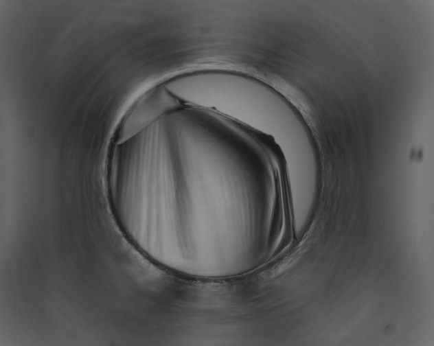 X0000089411334200707131753