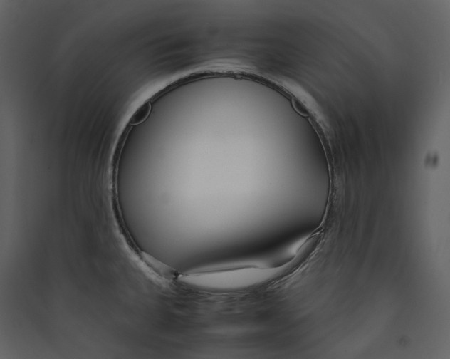 X0000089411335200707131753