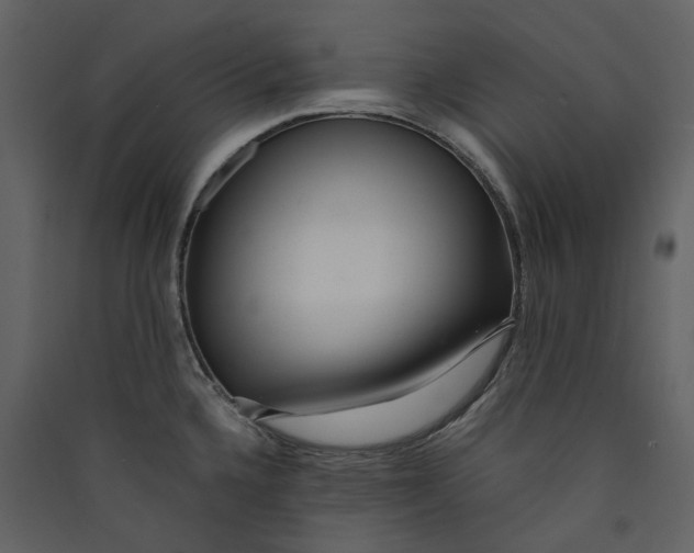 X0000089411336200707131753