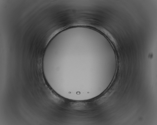 X0000089411337200707131753