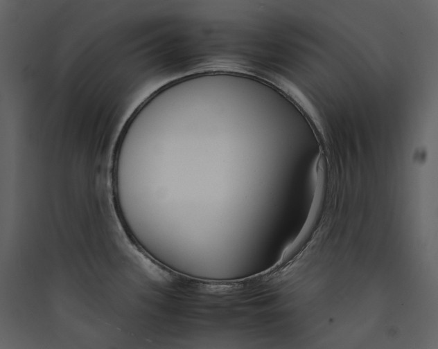 X0000089411339200707131753