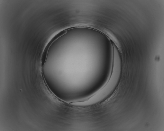 X0000089411340200707131753