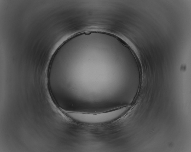 X0000089411341200707131753