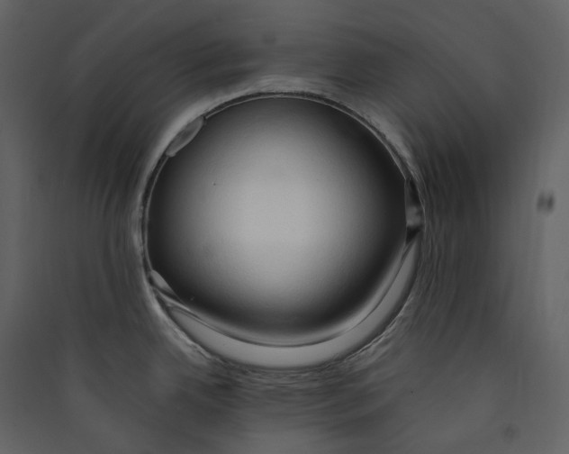 X0000089411342200707131753