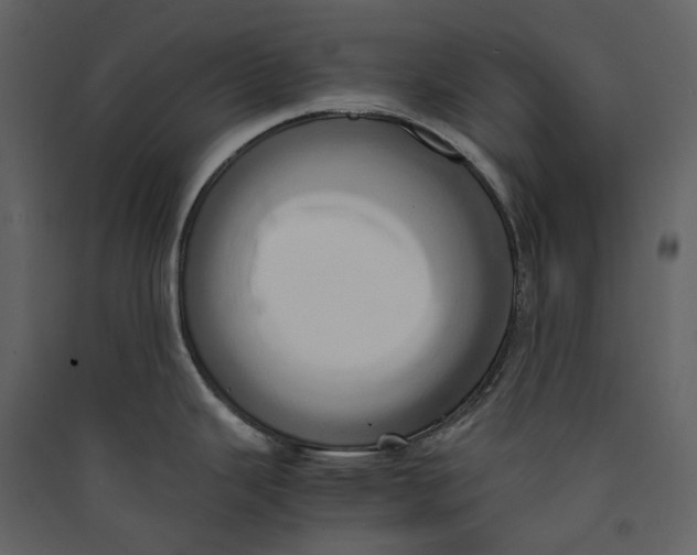 X0000089411343200707131753