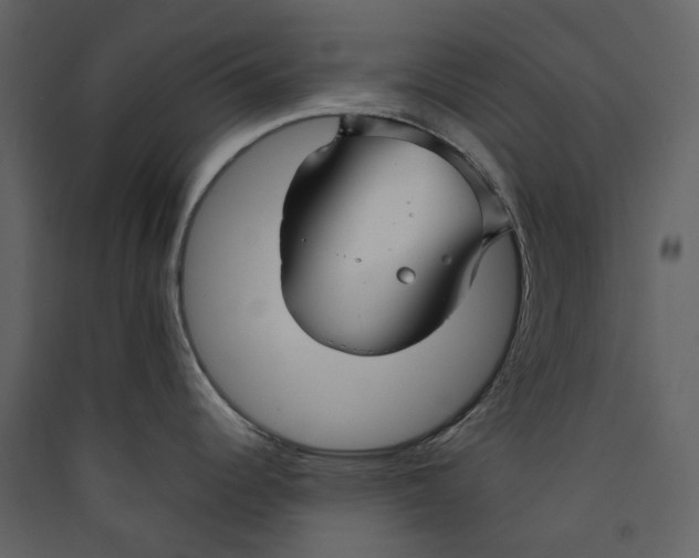 X0000089411344200707131753