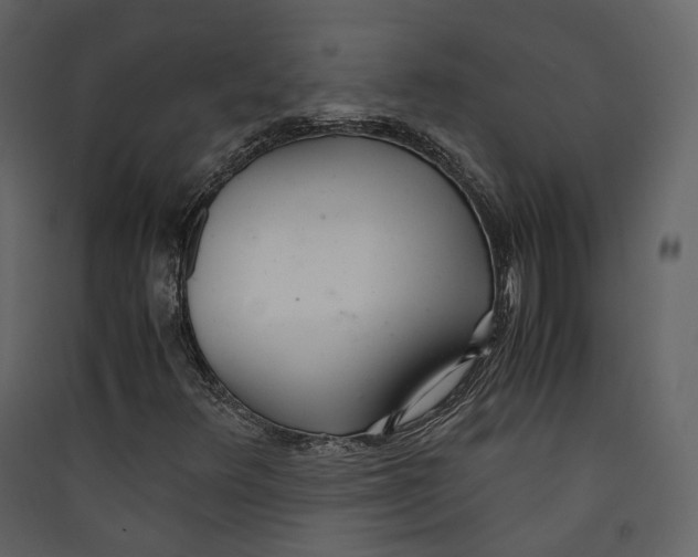 X0000089411348200707131752