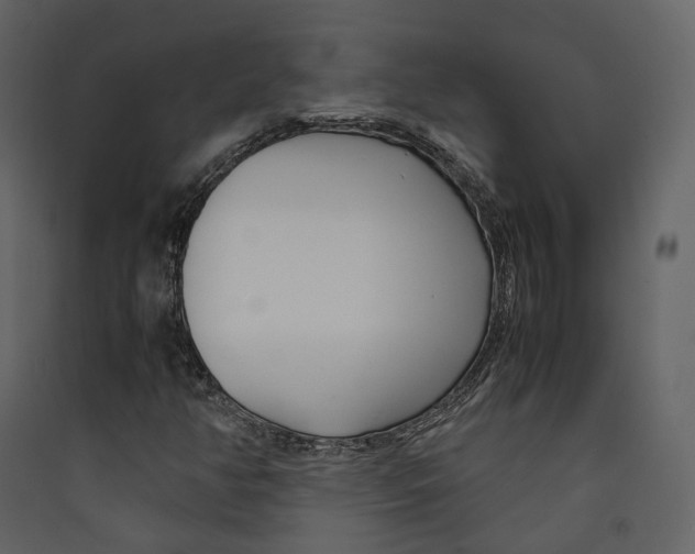 X0000089411350200707131752