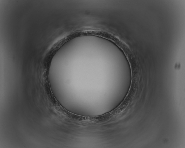X0000089411351200707131752