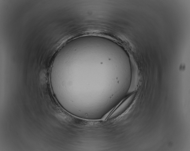X0000089411353200707131752