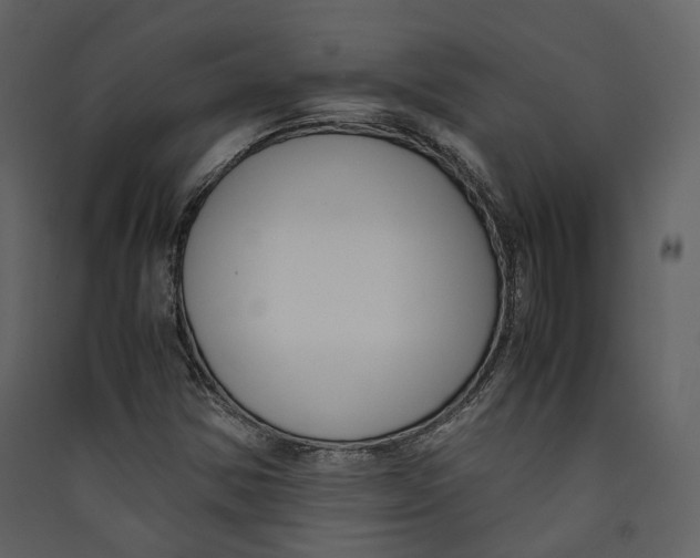 X0000089411354200707131752