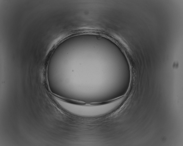 X0000089411357200707131752