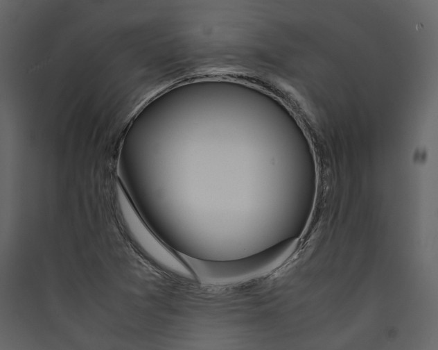 X0000089411361200707131752