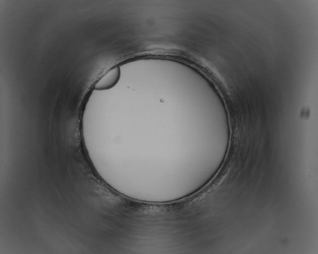 X0000089411362200707131752