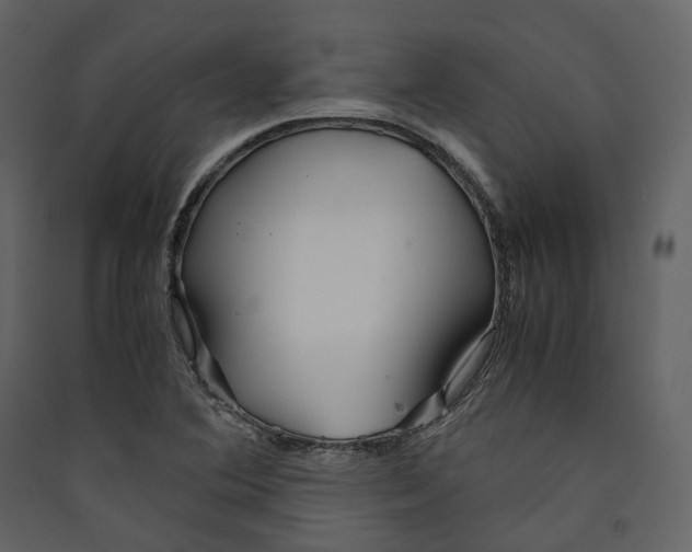 X0000089411364200707131752