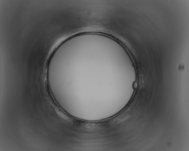 X0000089411366200707131752