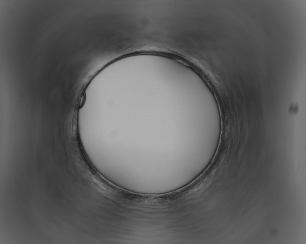 X0000089411367200707131752